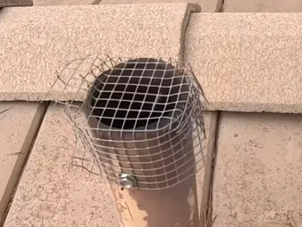 Roof vent screened with wire mesh to keep rodents out in Provo